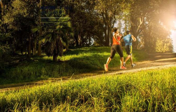 大揭秘|每天堅(jiān)持一萬(wàn)步，真的有用嗎？