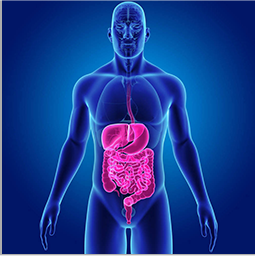 臨床二部運營管理在消化系統(tǒng)疾病、腎臟系統(tǒng)疾病、泌尿/男性疾病、骨科/手術(shù)相關(guān)疾病、神經(jīng)系統(tǒng)疾病、血液病出血性疾病、皮膚病等治療領(lǐng)域具有豐富經(jīng)驗