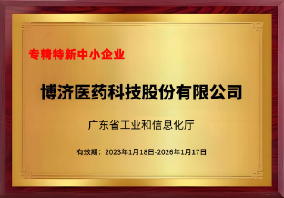 廣東省專(zhuān)精特新中小企業(yè)